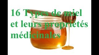 16 Types de miel et leurs propriétés médicinales