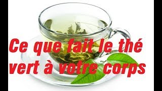 Ce que fait le thé vert à votre corps