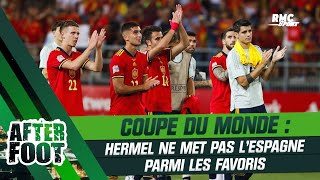 Coupe du monde : Hermel ne met pas l'Espagne parmi les favoris