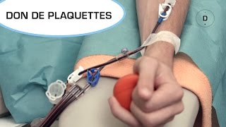 Don de plaquettes - Dons du vivant