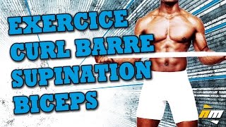 Exercice du curl  barre  supination pour muscler les biceps - Musculation biceps - Barbell Curl