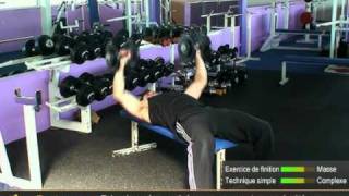 Exercice du développé couché haltères - Musculation des pectoraux - Dumbbell Bench press