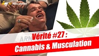 Vérité #27: les effets du cannabis sont-ils bons en musculation ? Par Jean de All musculation !